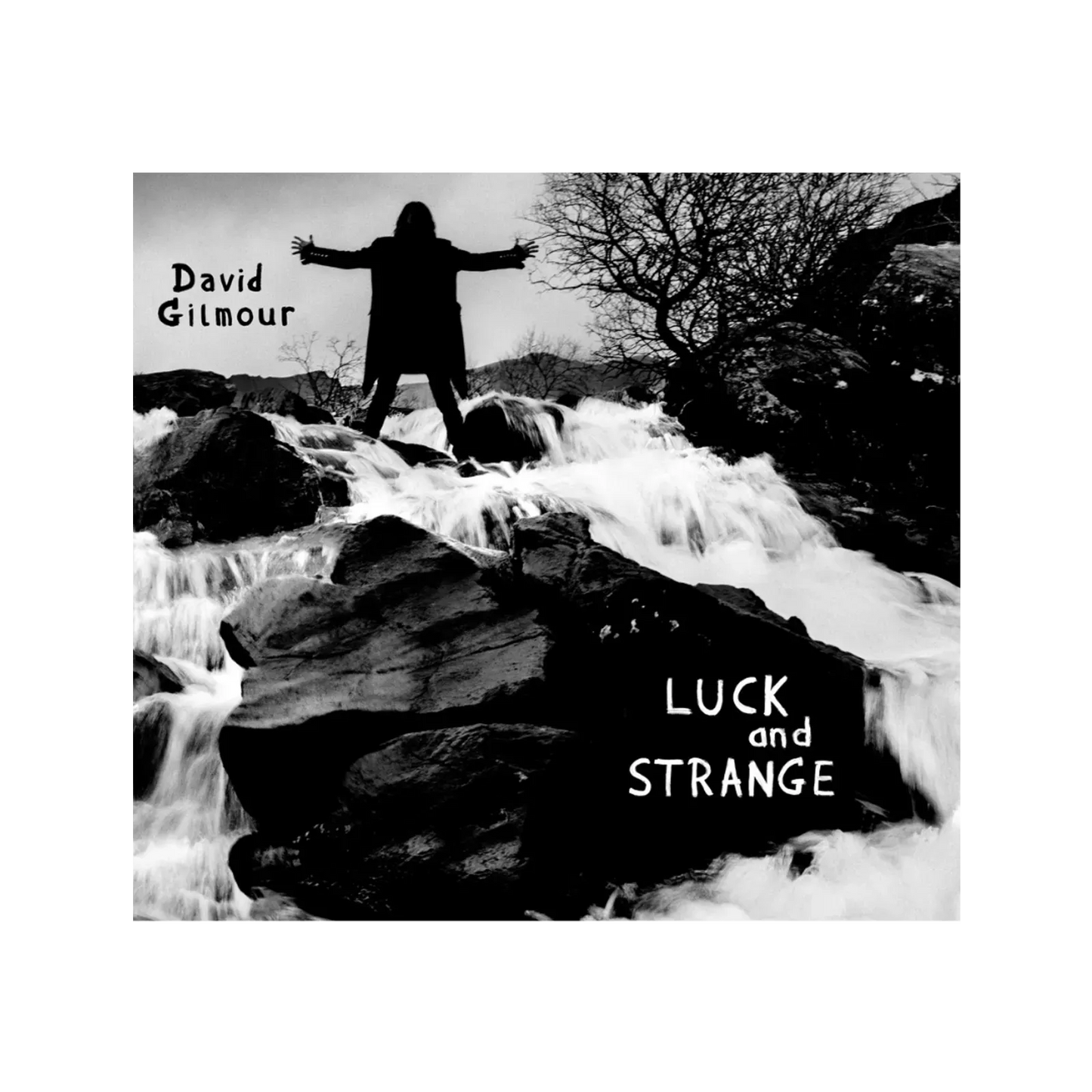David Gilmour Luck And Strange CD
