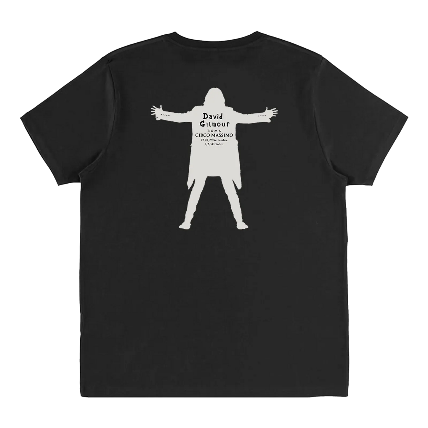 David Gilmour Luck and Strange Italian T-Shirt