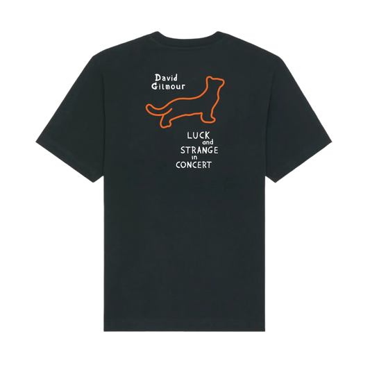 David and Romany in Concert Premium T-Shirt