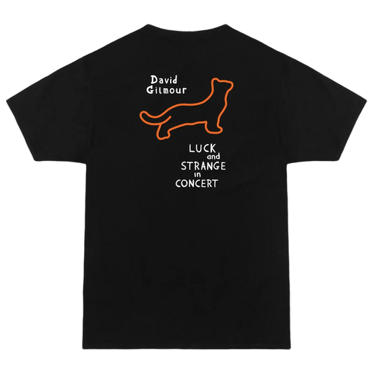 David and Romany in Concert T-Shirt