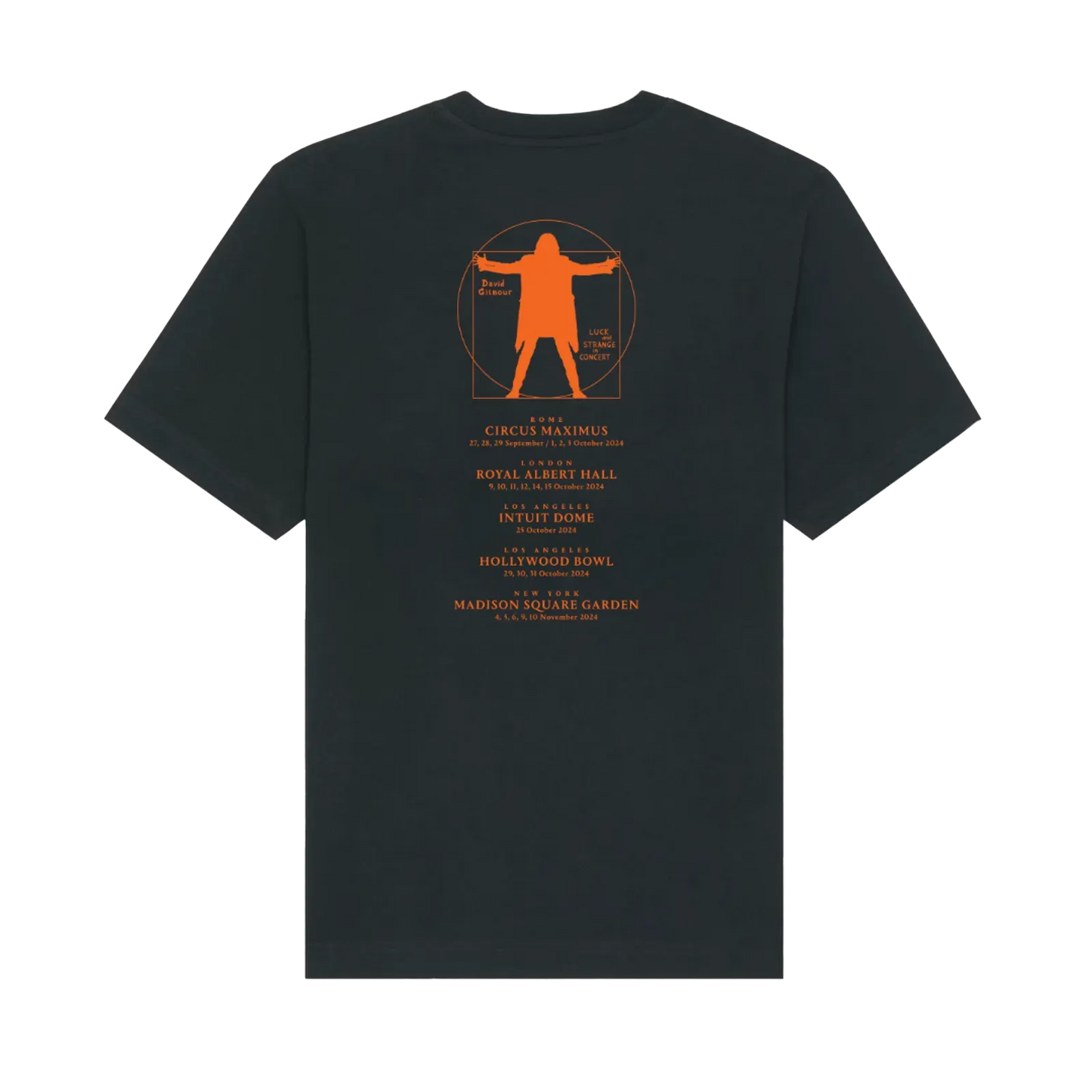 Luck and Strange in Concert Premium T-Shirt