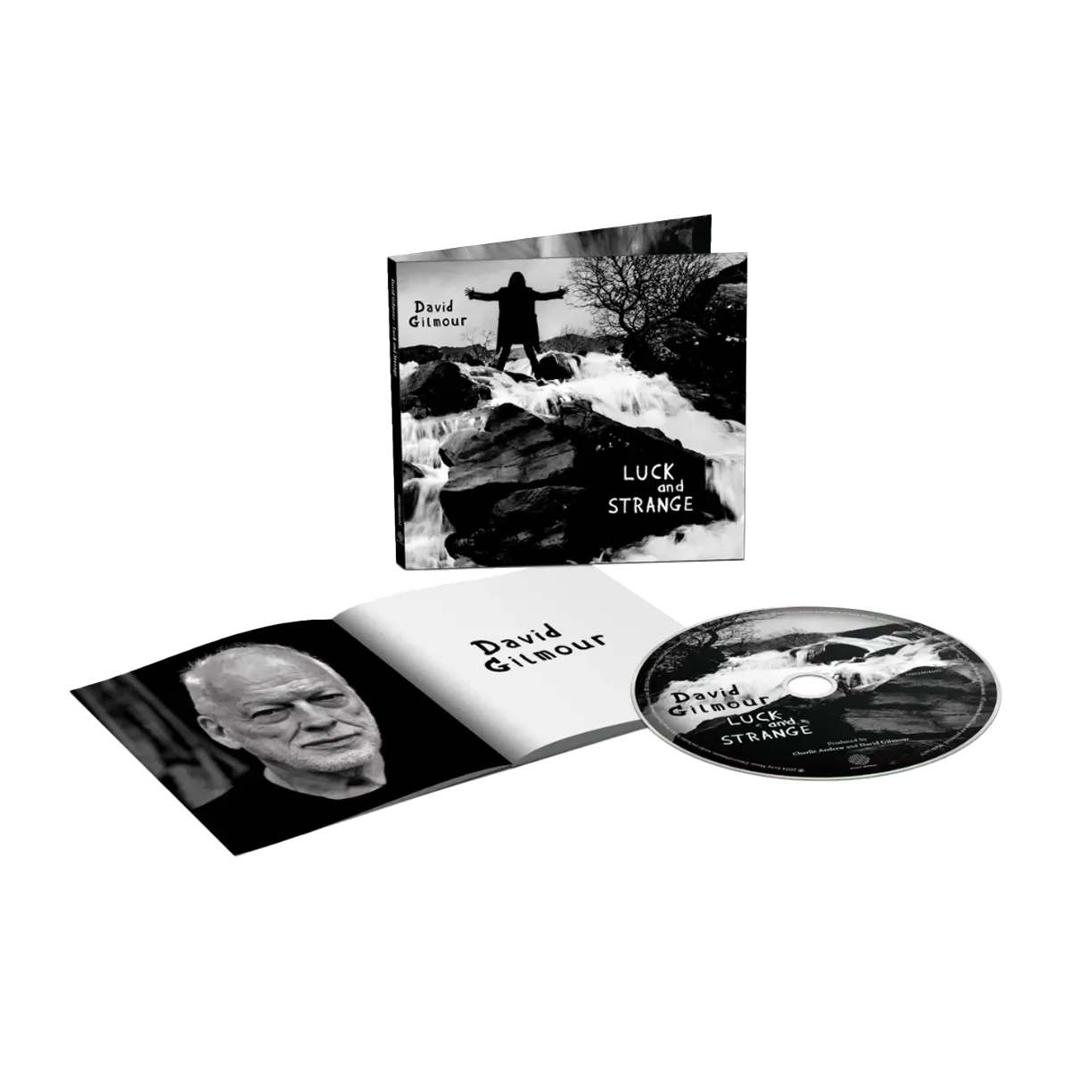 David Gilmour Luck And Strange CD