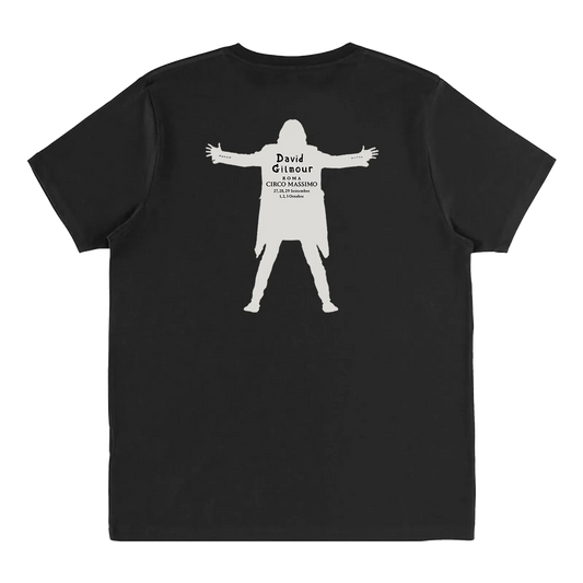 David Gilmour Luck and Strange Italian T-Shirt
