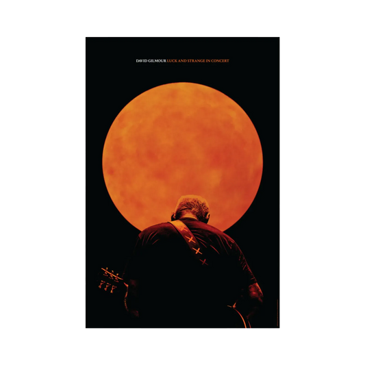 Luck and Strange in Concert Photo Poster (12"x18")