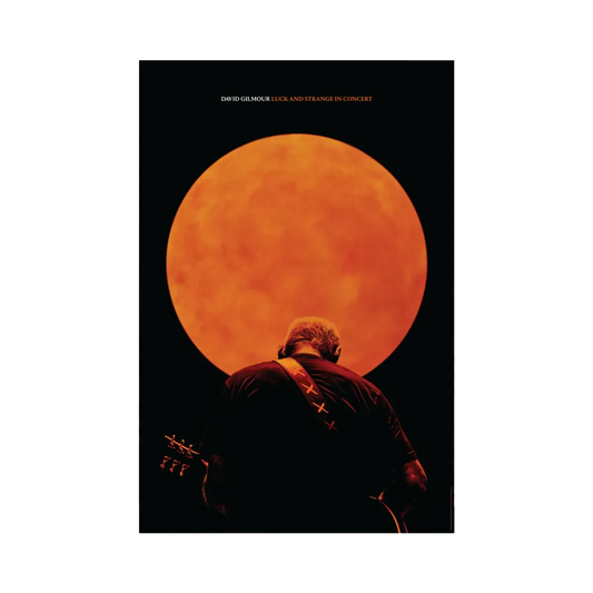 Luck and Strange in Concert Photo Poster (24"x36")